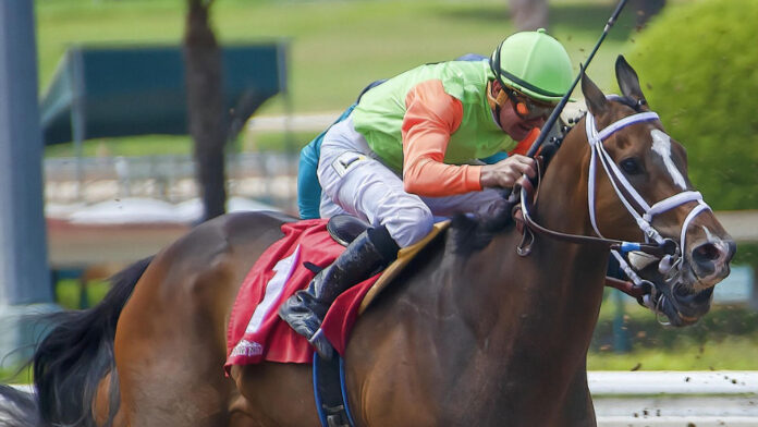 race horse melbourne cup
